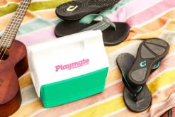 IGLOO Retro Playmate Mini Cooler 11 IGLOO Retro Playmate Mini Cooler -Ever Camp ka49bd56894be72aab5790dba052aa75f