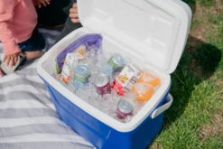 IGLOO Laguna 28QT Cool Box Red 20 IGLOO Laguna 28QT Cool Box Red -Ever Camp kb309529a331bee3c9613a50999a7df51